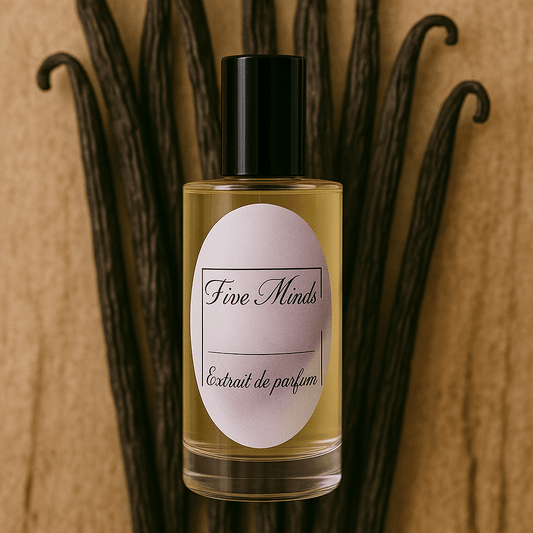 Body Oil inspiriert von:Fame - My pende